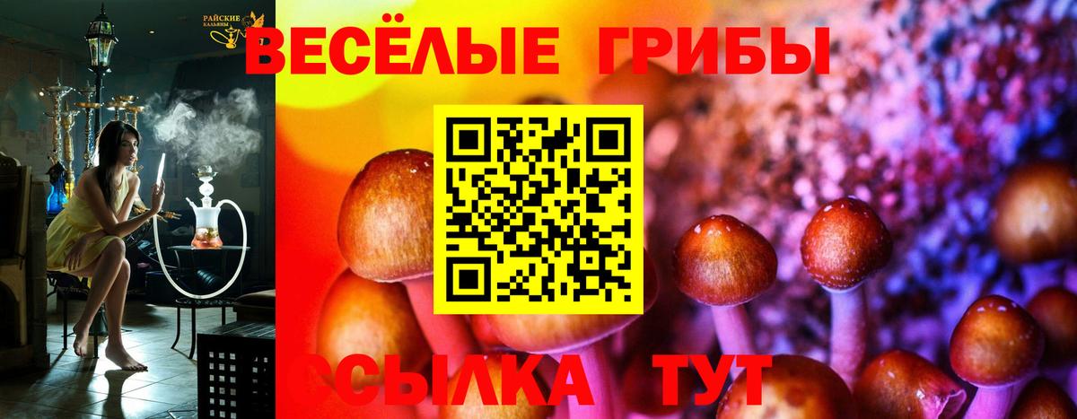 Галлюциногенные грибы GOLDEN TEACHER  Псилоцибиновые грибы MAGIC MUSHROOMS  Вход с VPN  Малгобек 